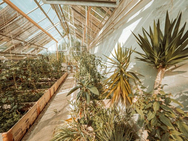 Comment intégrer des pratiques de jardinage biologique dans les espaces publics urbains ?