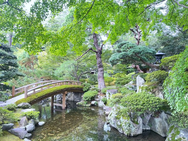 Comment concevoir un jardin vertical en intérieur pour optimiser l'espace?