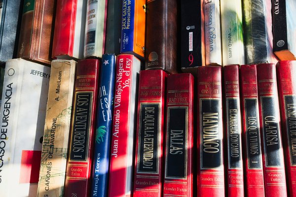 La diversité culturelle dans la littérature contemporaine